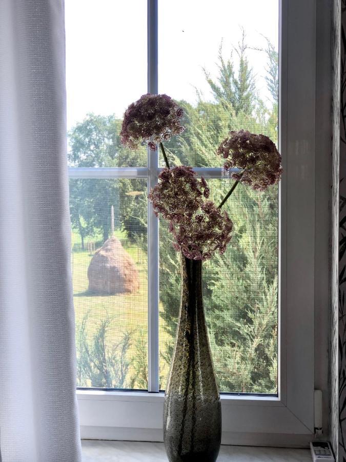 Ferienapartments Spreewaldwiesen Vetschau Esterno foto